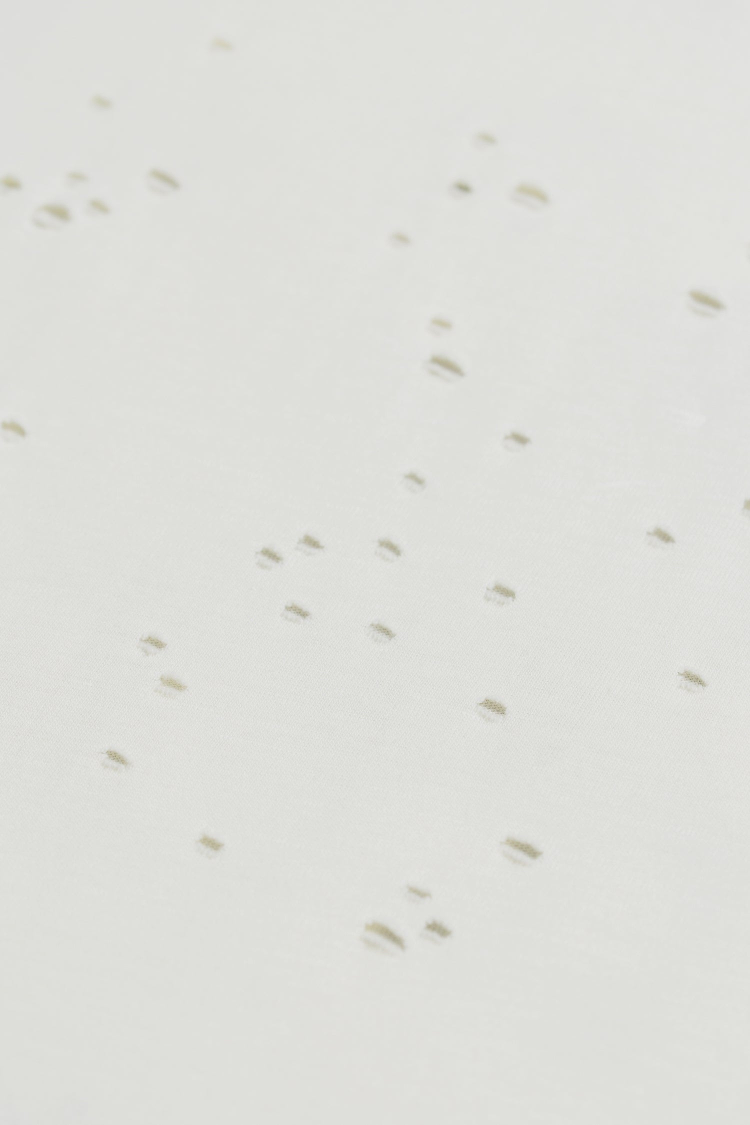 MothTech T-Shirt- Selectshop FRAME