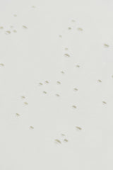 MothTech T-Shirt- Selectshop FRAME