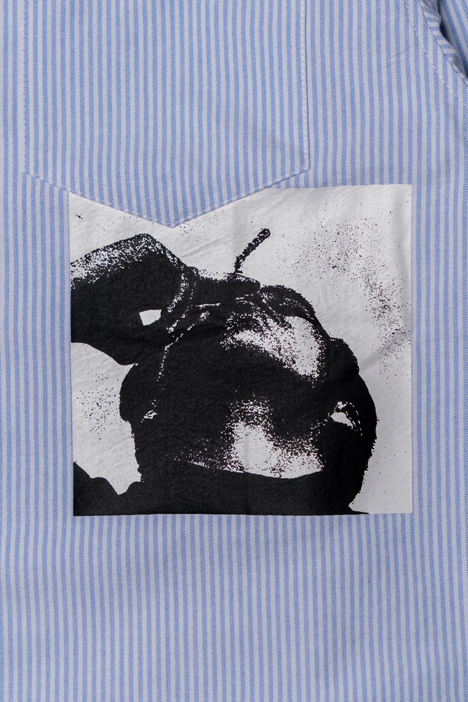 Life Shirt- Selectshop FRAME
