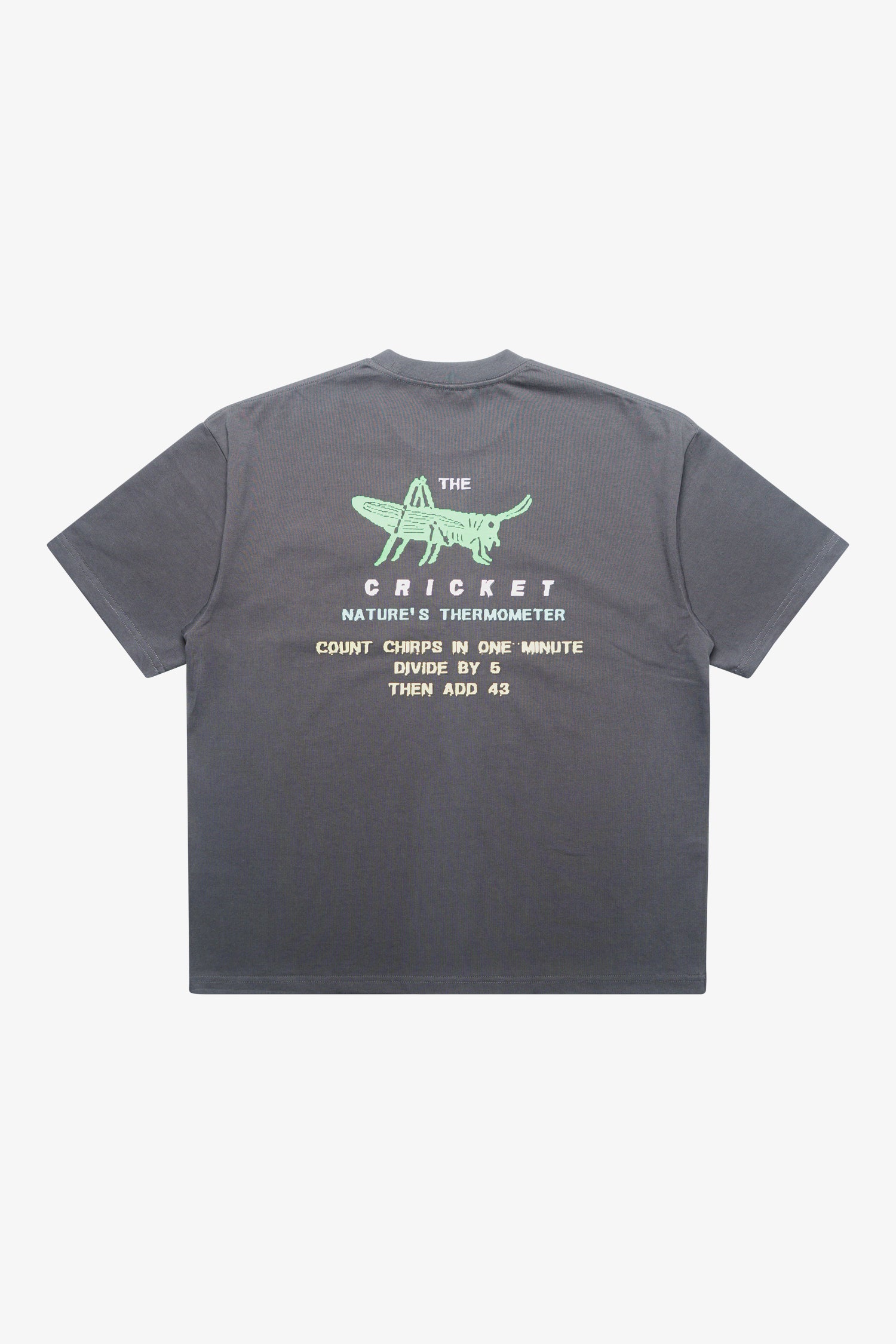 Cricket Heavyweight Pocket T-Shirt- Selectshop FRAME