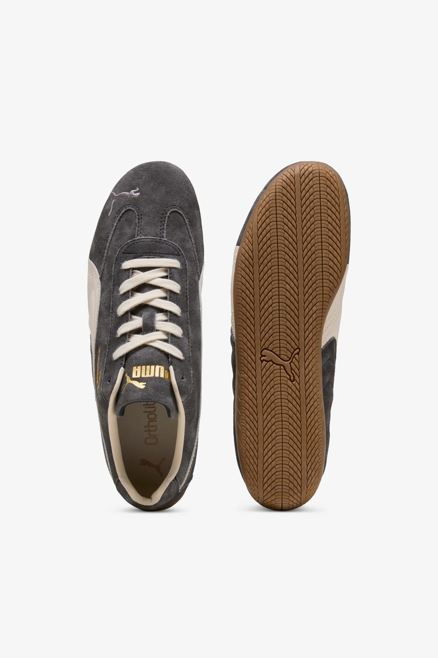 Speedcat Faded "Cast Iron-Alpine Snow"- Selectshop FRAME