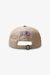 Corrosive 6 Panel Cap