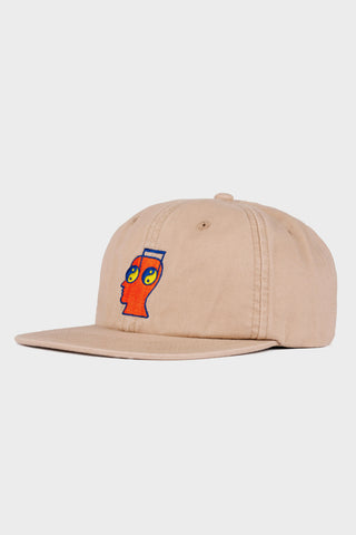 Brain Notes 6 Panel Cap