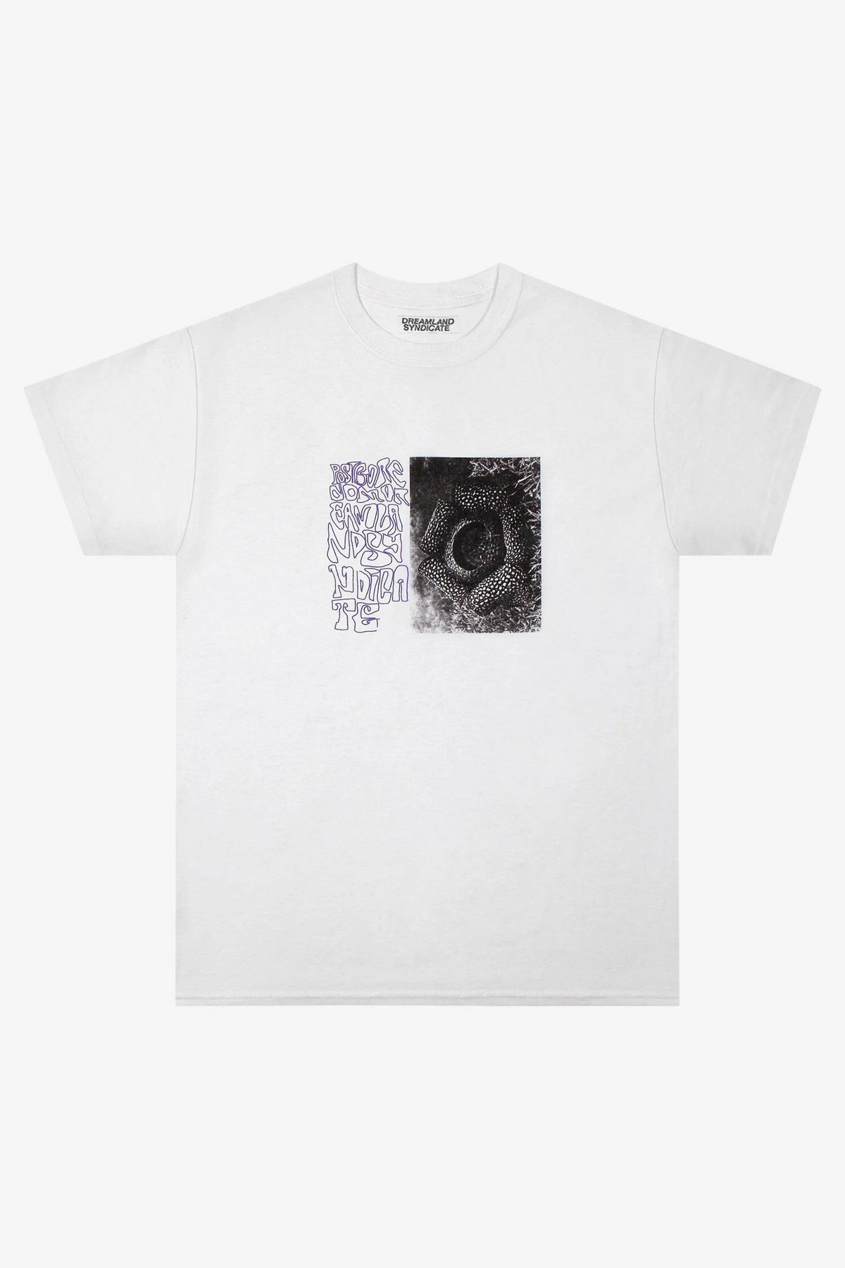 Selectshop FRAME - DREAMLAND SYNDICATE Flower Tee T-Shirt Dubai