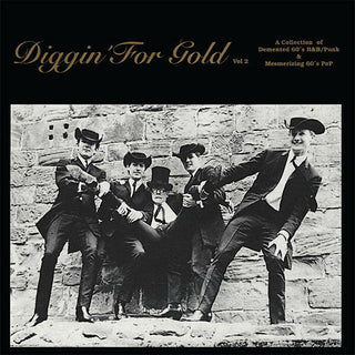 فرجينيا: "Diggin' For Gold Volume 2" LP