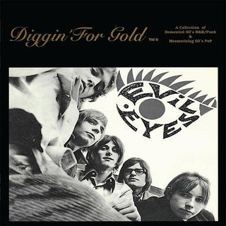 VA: "Diggin' For Gold Volume 6" LP