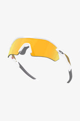 Radar Plate- Selectshop FRAME