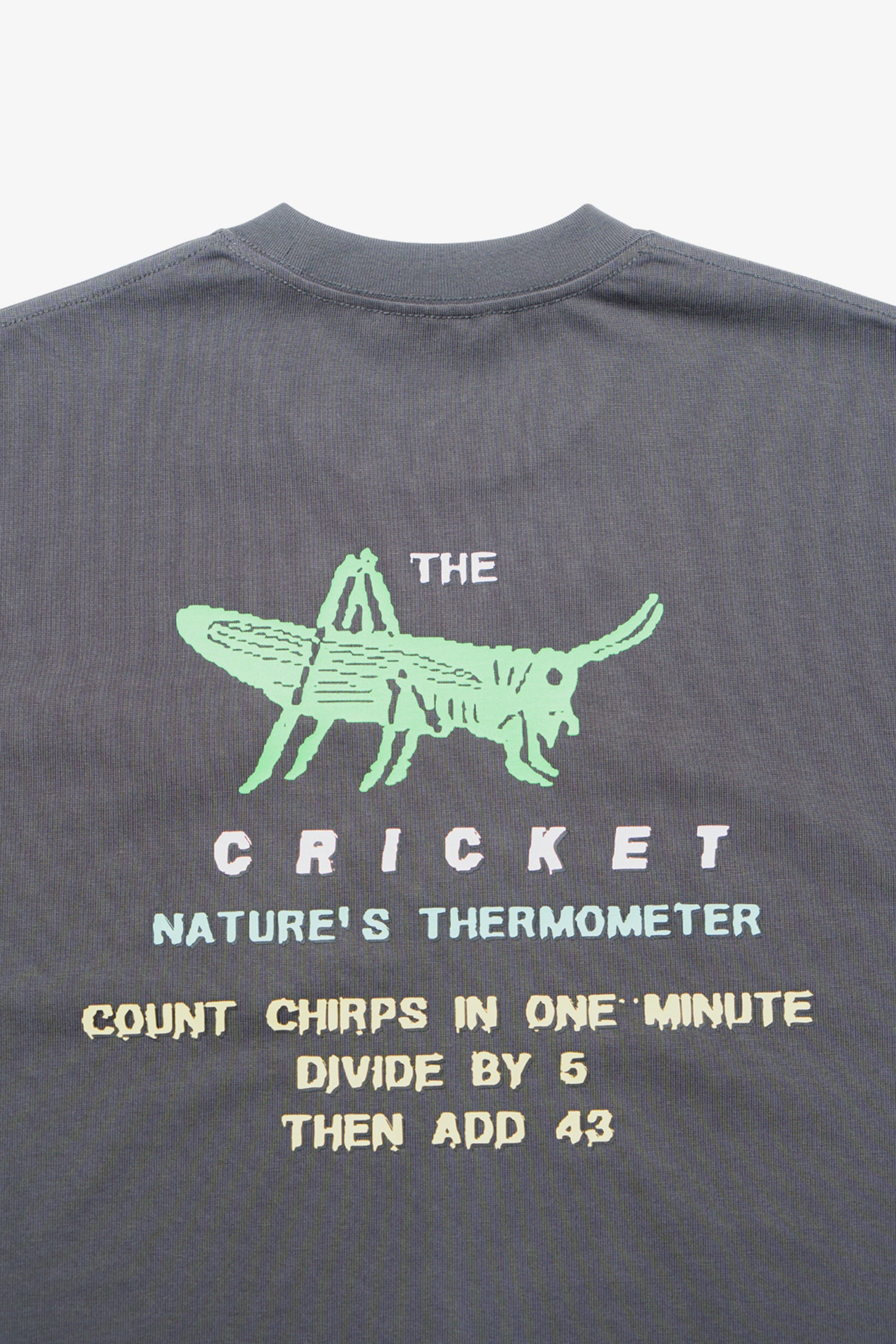 Cricket Heavyweight Pocket T-Shirt- Selectshop FRAME