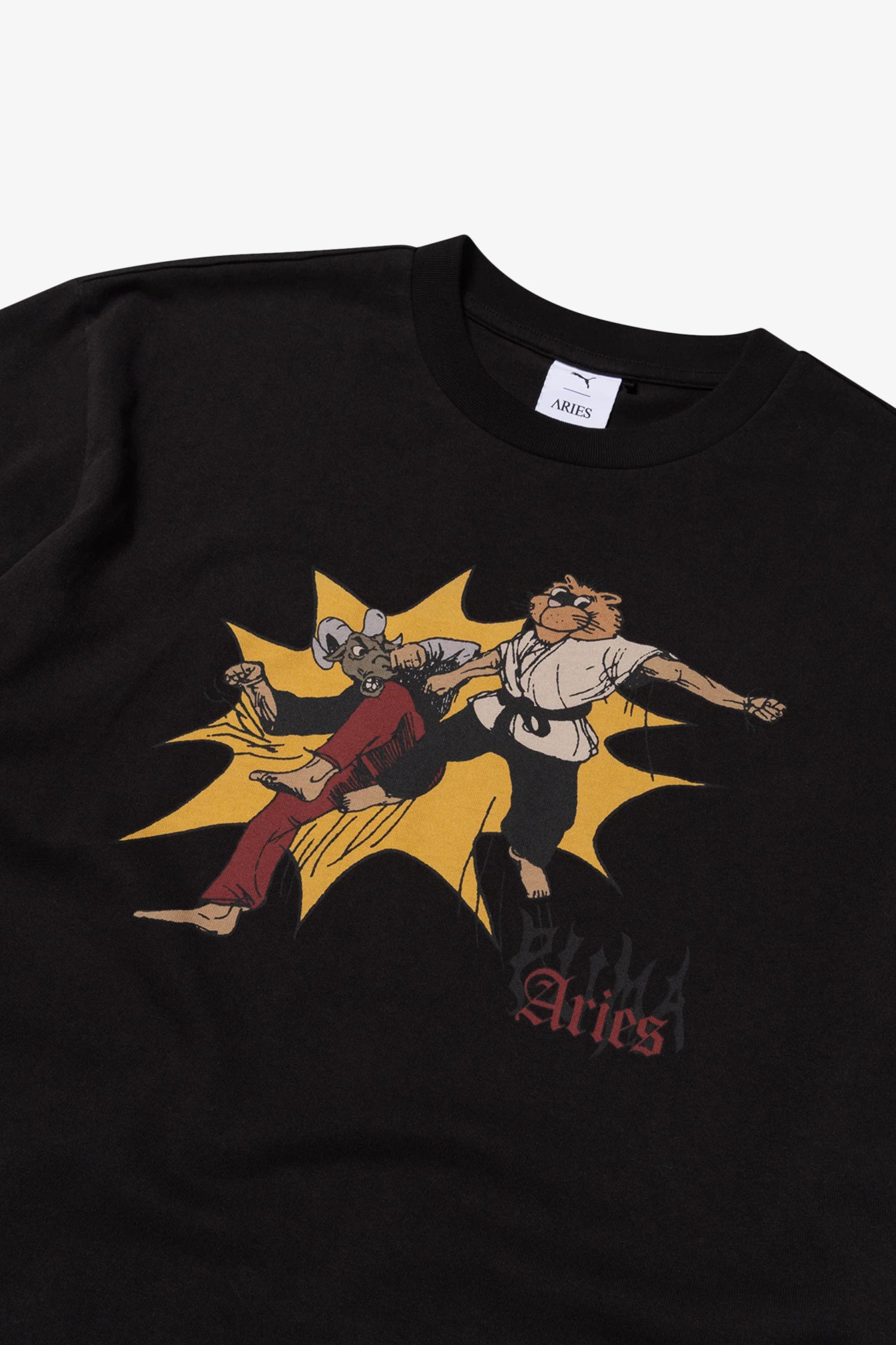 Aries Graphic Tee- Selectshop FRAME