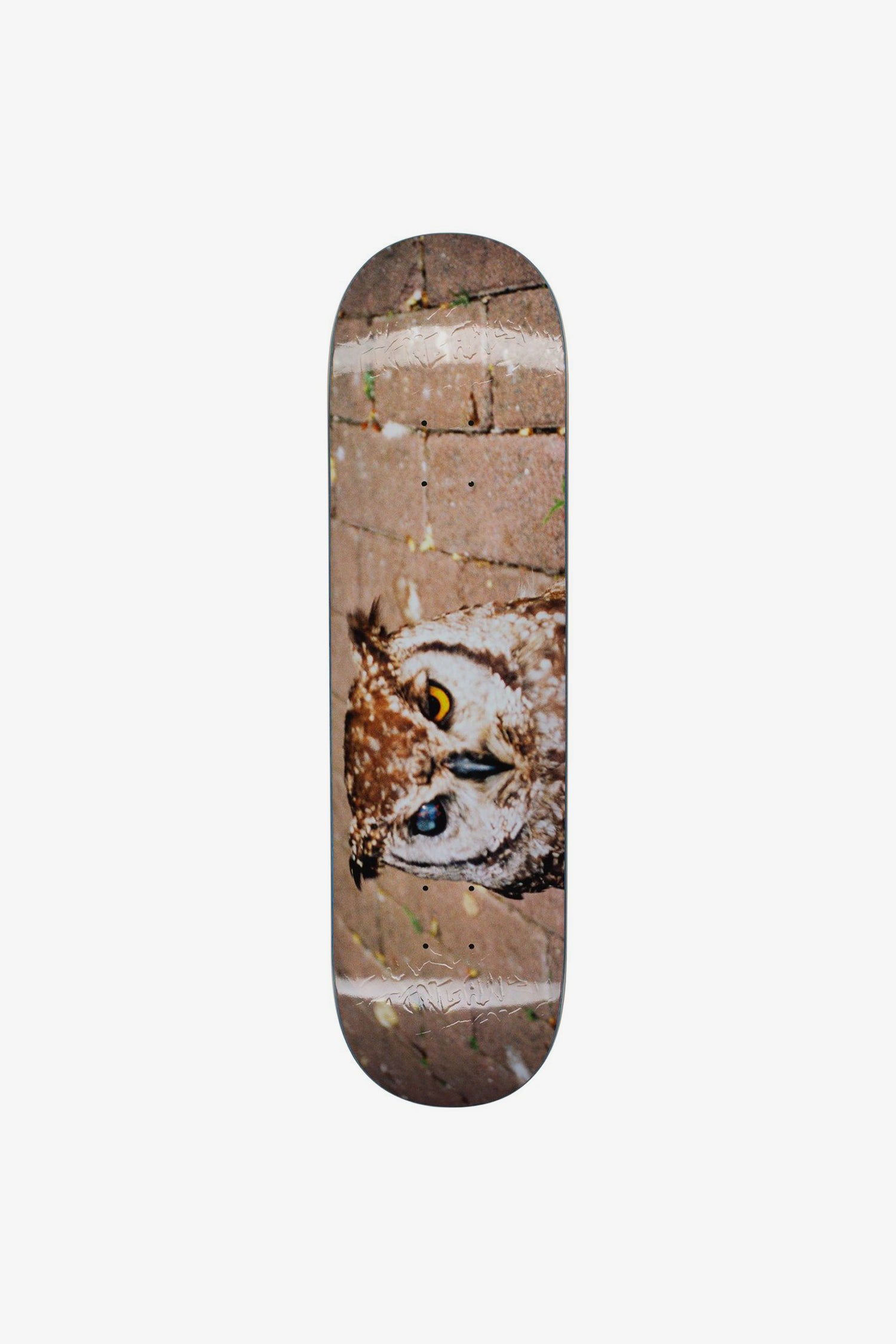 Selectshop FRAME - FUCKING AWESOME Owl Photo - Dill Deck Skateboards Dubai