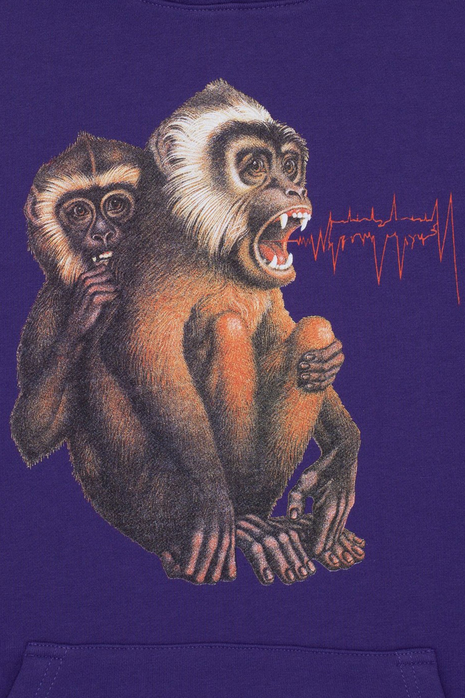 Selectshop FRAME - FUCKING AWESOME Monkey Radar Hoodie Sweats-Knits Dubai