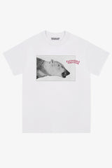 Selectshop FRAME - DREAMLAND SYNDICATE Arctic Bear T-Shirt T-Shirts Dubai