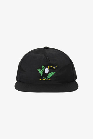 Toucan Cap