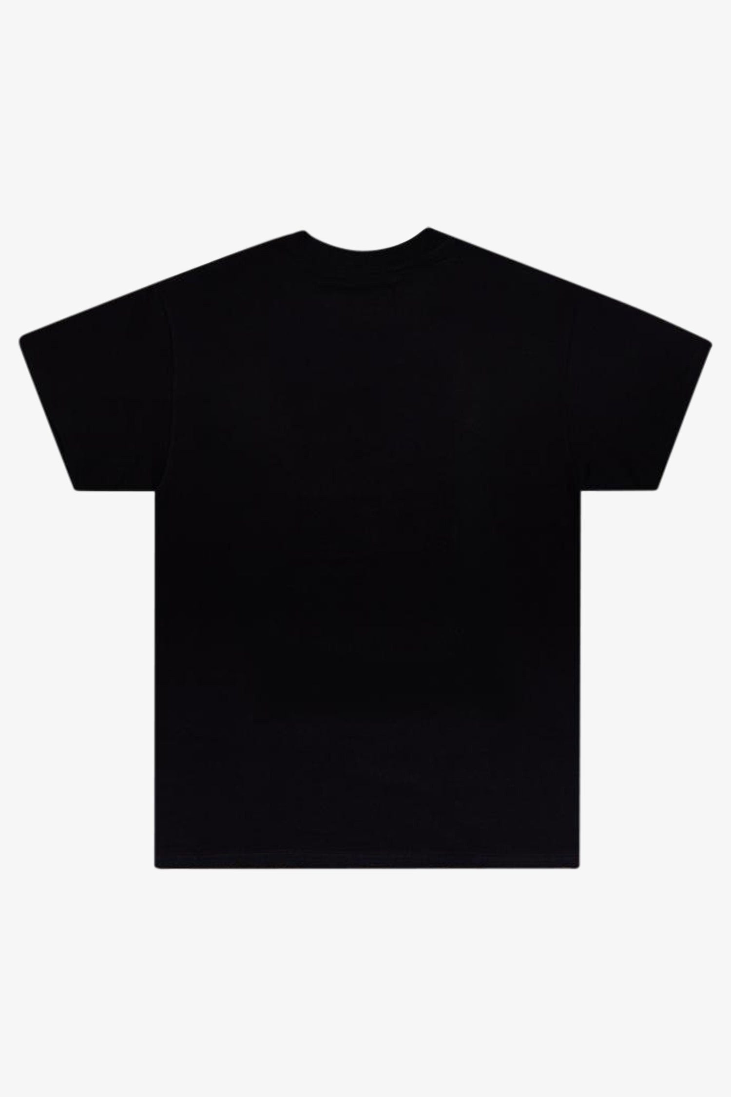 Selectshop FRAME - DREAMLAND SYNDICATE Dstr Zone Tee T-Shirts Dubai