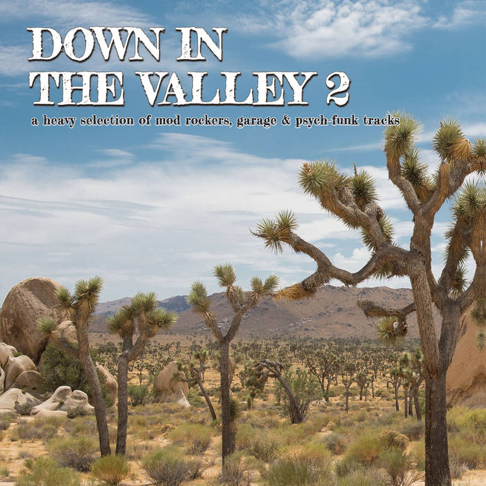 Selectshop FRAME - FRAME MUSIC VA: "Down In The Valley 2" LP Vinyl Record Dubai