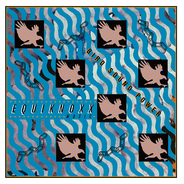 Selectshop FRAME - FRAME MUSIC Equiknoxx: "Bird Sound Power" 2LP Vinyl Record Dubai