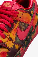 The Wizard of Oz x Dunk Low SB "Poppy Field"- Selectshop FRAME