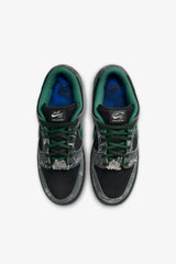 SB Dunk Low “There Skateboards”- Selectshop FRAME