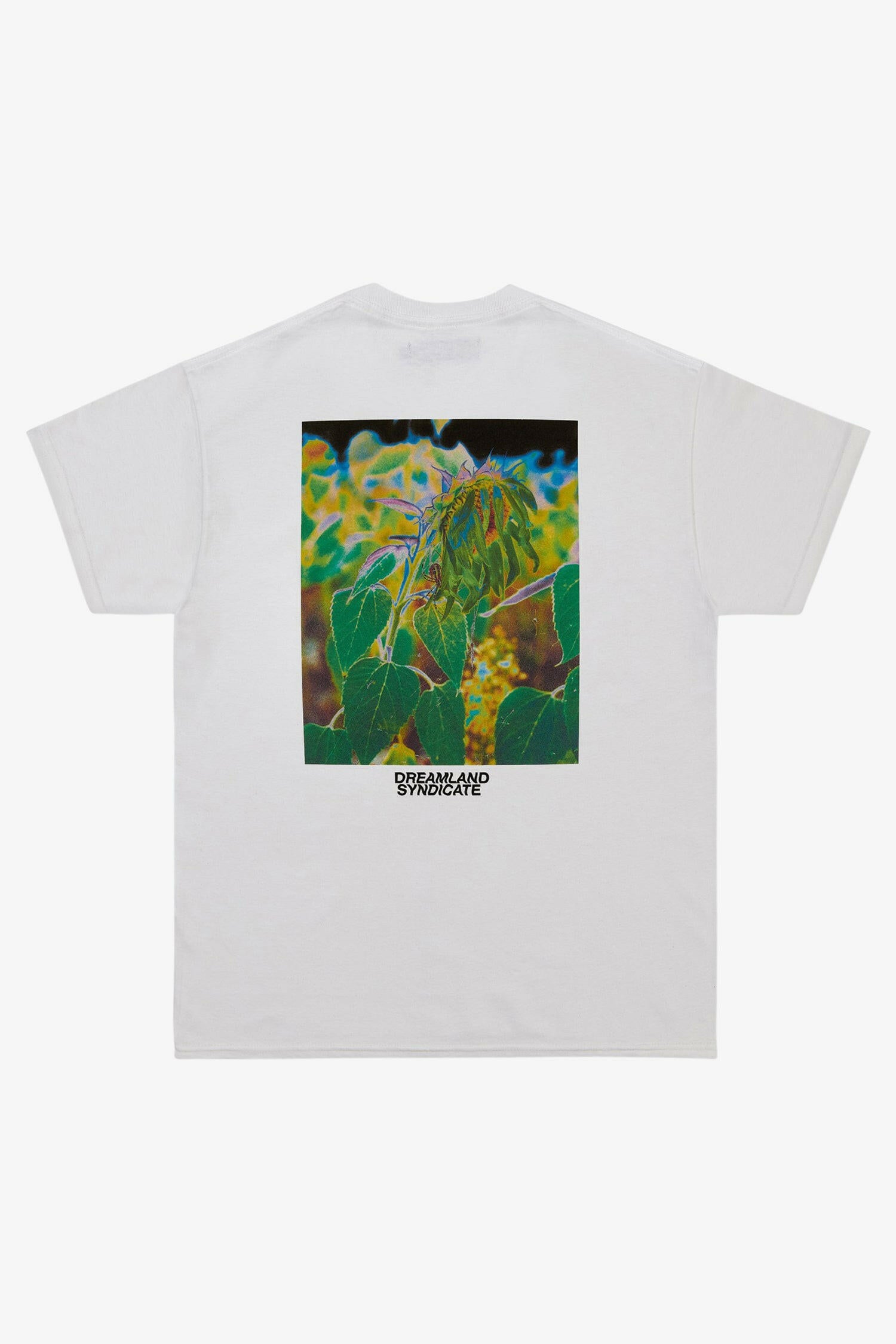Selectshop FRAME - DREAMLAND SYNDICATE ひまわりTシャツ Tシャツ ドバイ
