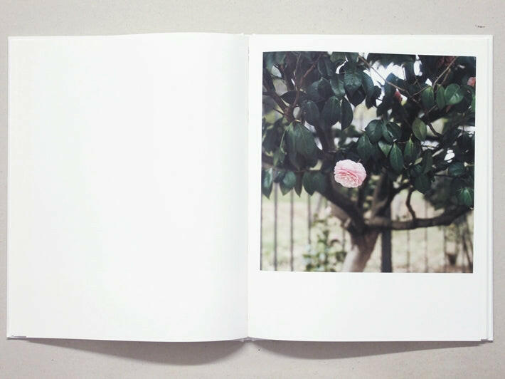 Selectshop FRAME - FRAME BOOK MASAKO NAKAGAWA, New World Book Dubai