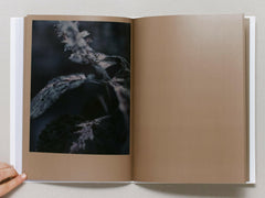 Selectshop FRAME - FRAME BOOK DARREN ALMOND	, The Civil Dawns Book Dubai