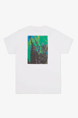 Selectshop FRAME - DREAMLAND SYNDICATE Chain Web Eco Tee T-Shirts Dubai