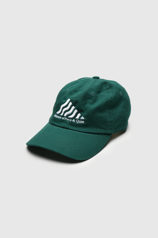 Library Dad Hat