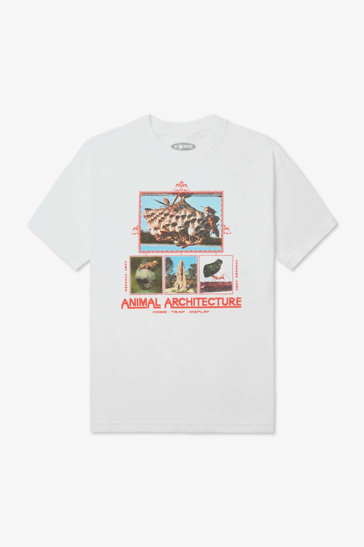 Selectshop FRAME - COME SUNDOWN Animal Architecture Tee T-Shirts Dubai