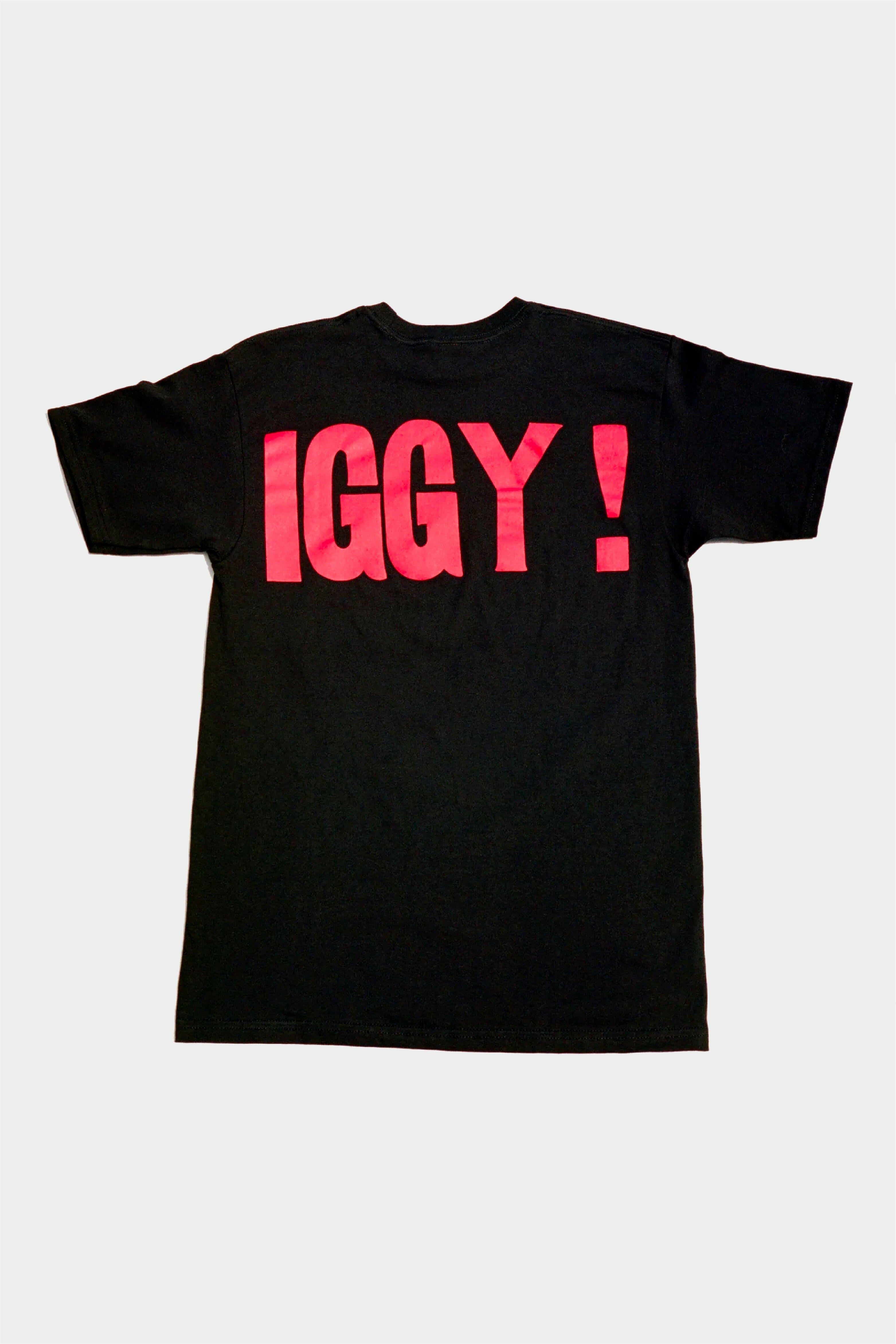 Selectshop FRAME - IGGY Obscene Seditious Defamatory Tee T-Shirts Dubai