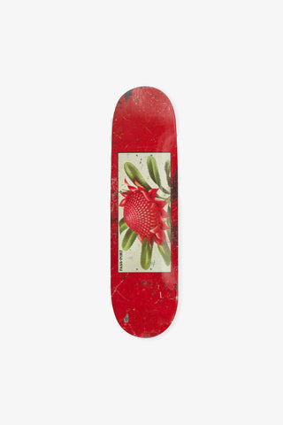 Waratah Tin Floral Deck