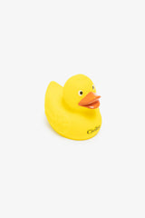 Rubber Duck-FRAME