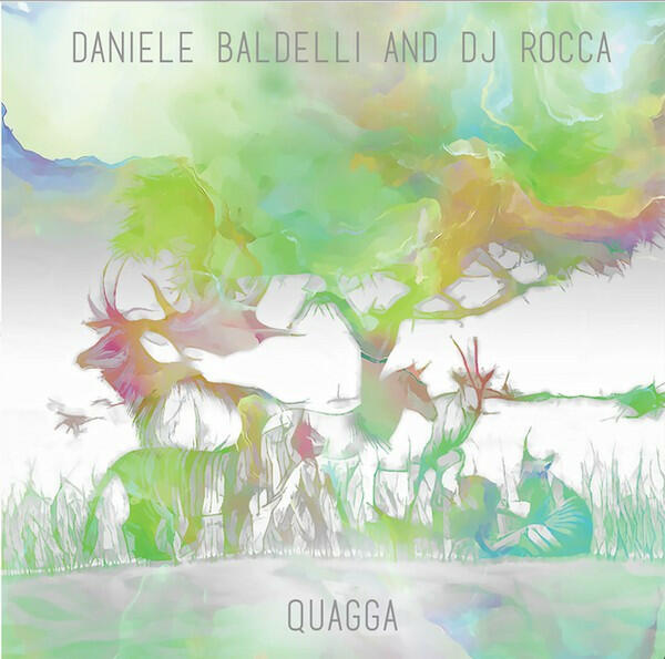 Selectshop FRAME -FRAME MUSIC Daniele Baldelli & DJ Rocca："Quagga" LP 黑胶唱片 迪拜