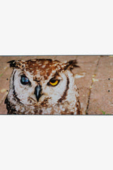 Selectshop FRAME - FUCKING AWESOME Owl Photo - Dill Deck Skateboards Dubai