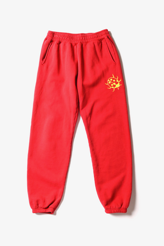 Bugging Track Pants