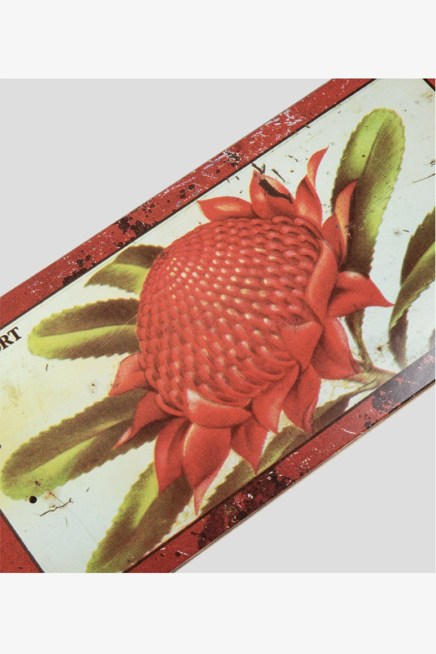 Selectshop FRAME - PASS-PORT Waratah Tin Floral Deck Skate Dubai