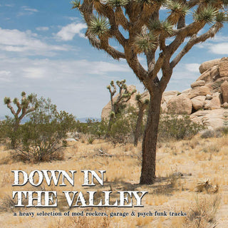 VA: "Down In The Valley" LP