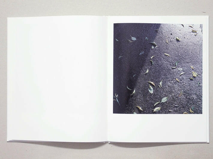 Selectshop FRAME - FRAME BOOK MASAKO NAKAGAWA, New World Book Dubai